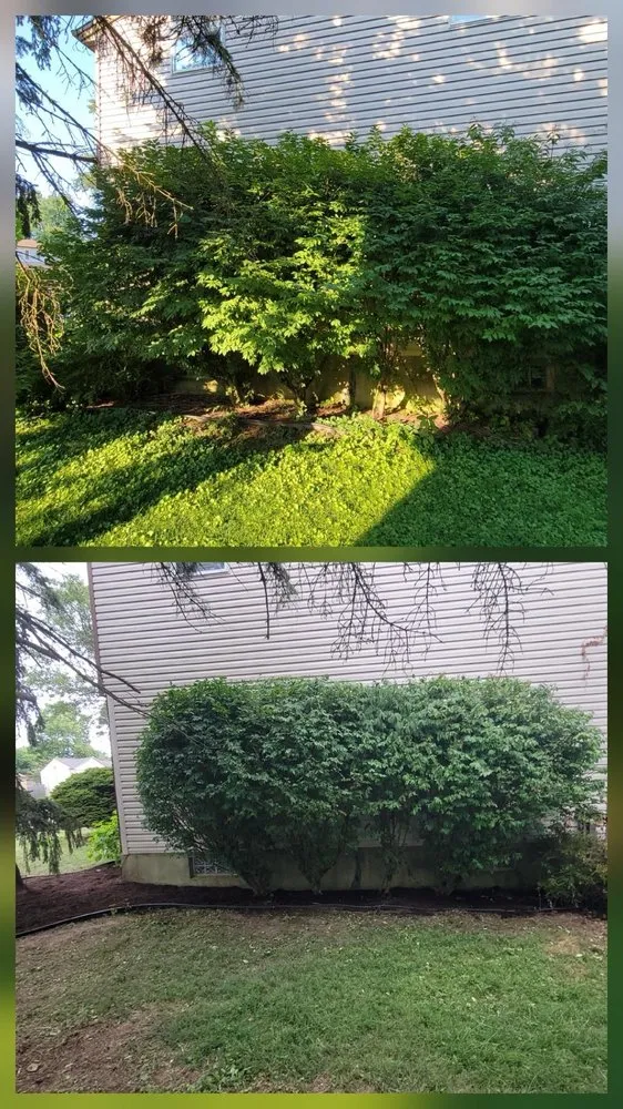 Custom yard maintenance in Cincinnati, OH by Linde Landscape