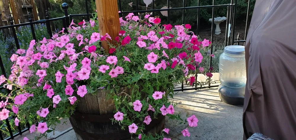 Custom landscaping services in Bozeman, MT by Linden Landscape Services