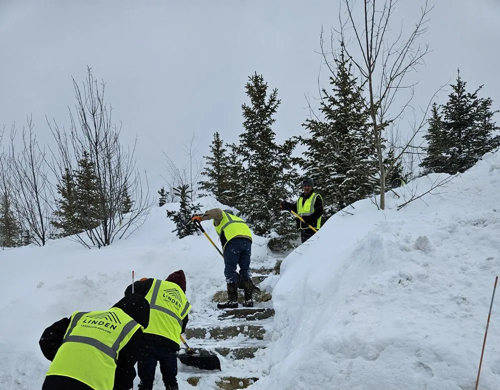 Custom lawn care service for homes across Bozeman, MT - Linden Landscape Services