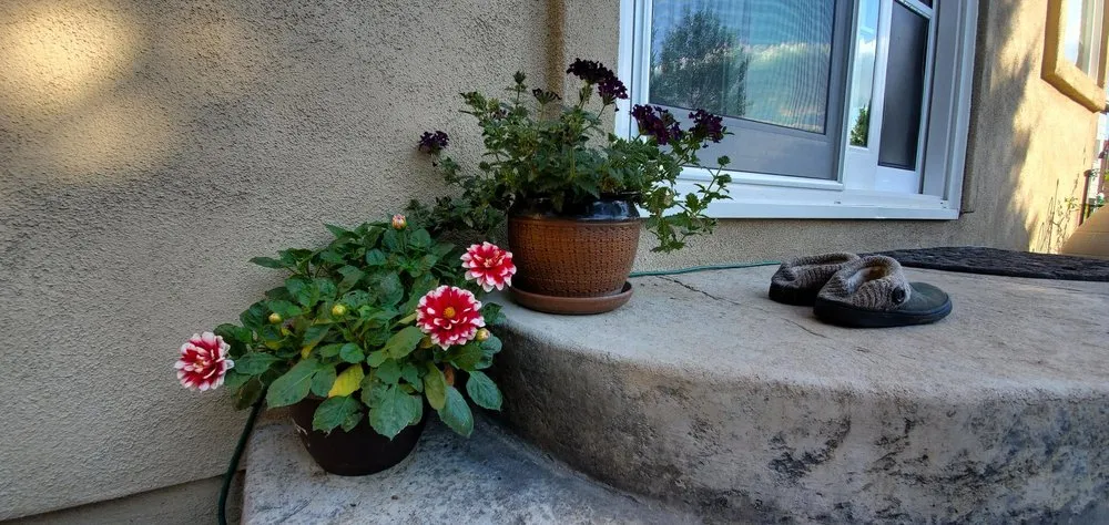 Custom residential landscaping in Bozeman, MT by Linden Landscape Services