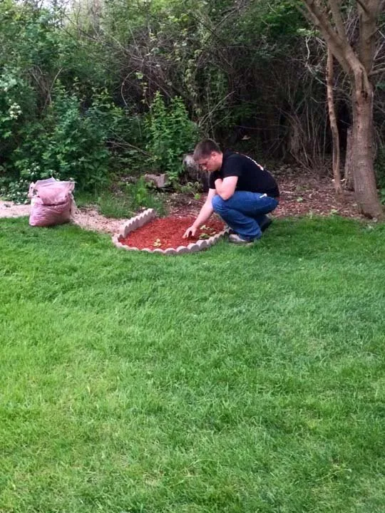Top-rated yard maintenance in Apple River, IL - Linden Lawn Care & Landscaping