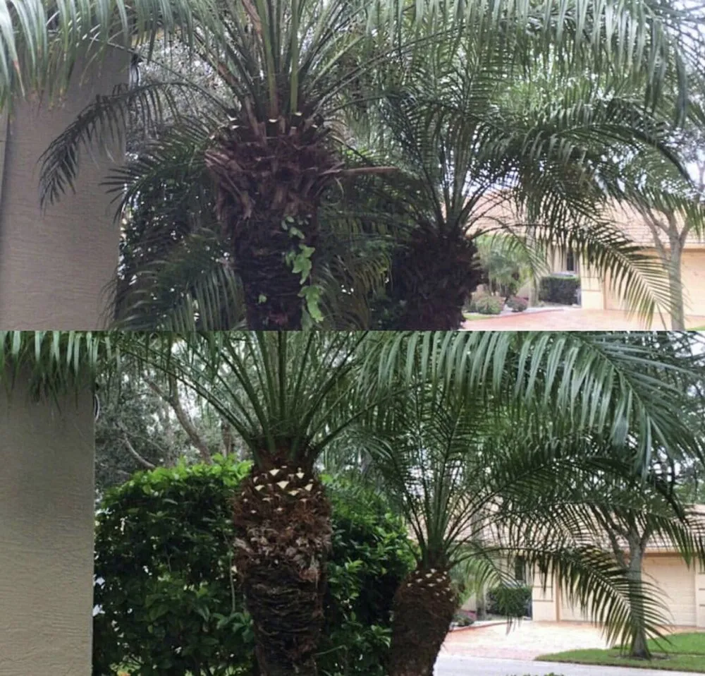 Reliable yard cleanup service experts serving Lakeland, FL - Linder Lawnscape