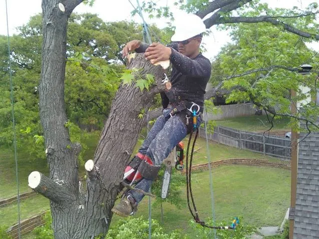 Affordable landscape design for beautiful yards in Sand Springs, OK by Linders Tree & Lawn