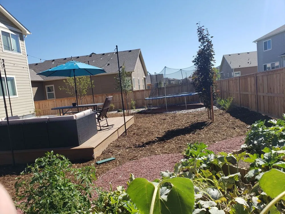 Professional yard maintenance in Fort Collins, CO by Lindgren Landscape