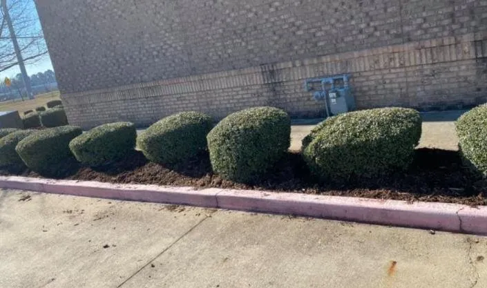 Professional residential landscaping in Mount Vernon, TX - Lindley Landscape