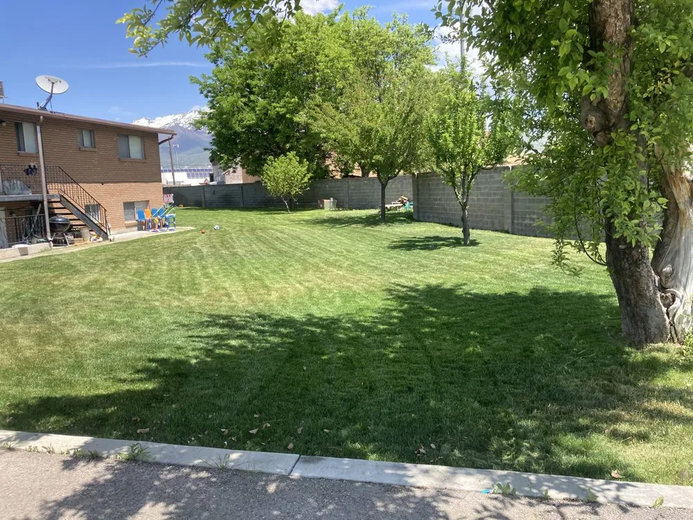 Custom lawn care service experts serving Lindon, UT - Lindon Landscaping