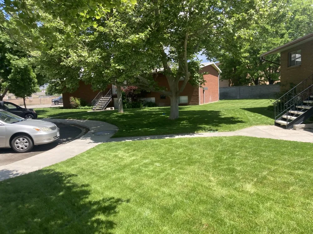 Local yard maintenance with custom design across Lindon, UT - Lindon Landscaping