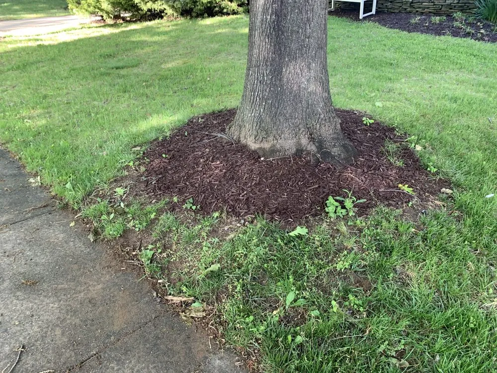 Custom landscape installation experts serving Purcellville, VA - Lindo's Landscaping