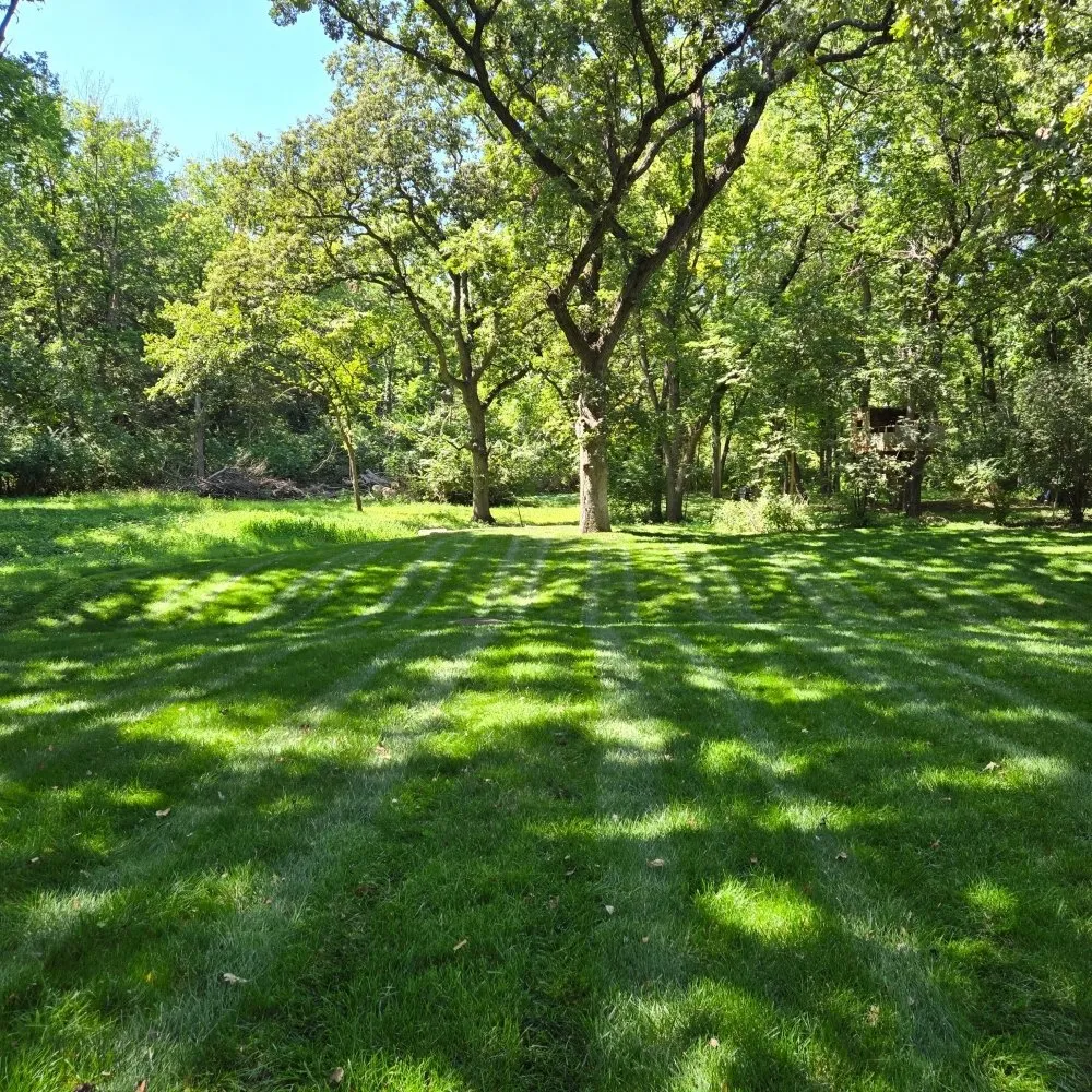 Affordable yard cleanup service in Manhattan, KS - Lindquist Lawn & Landscape