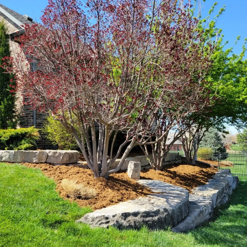 Professional lawn mowing service for year-round maintenance across Valley Center, KS - Lindsay & Co. Landscaping