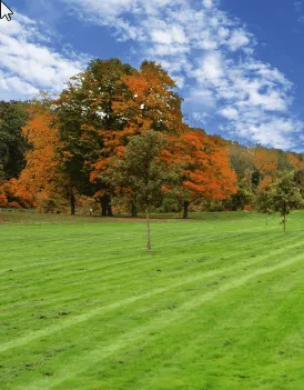 Top-rated residential landscaping for residential properties across Raleigh, NC - Lindsay Lawn And Landscaping