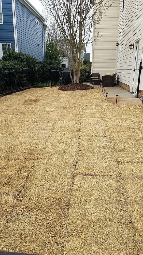 Local landscape design experts serving Raleigh, NC - Lindsay Lawn And Landscaping