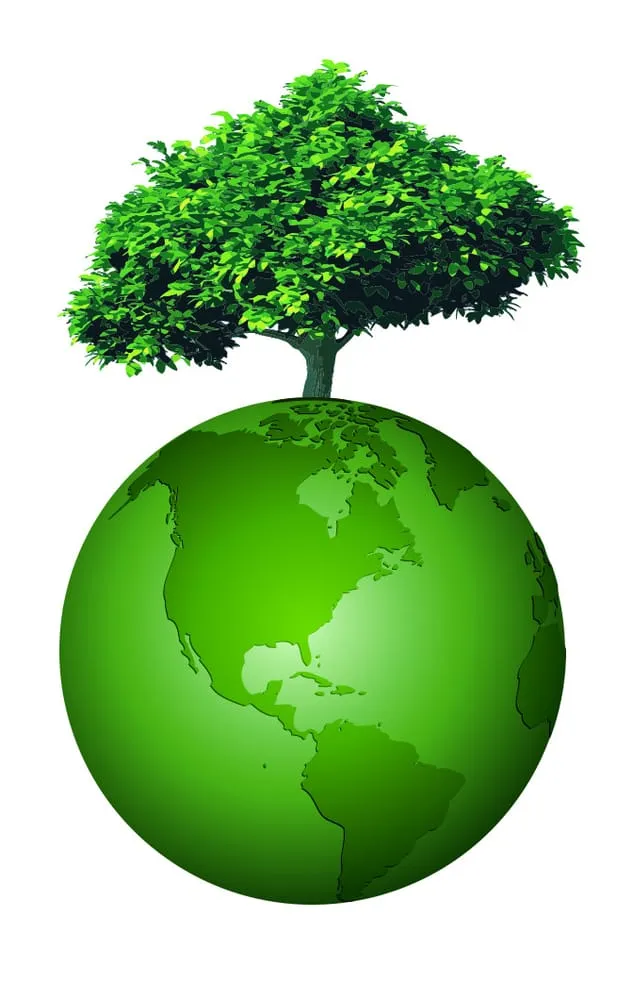 Expert garden landscaping in Champlin, MN - Lindsay's Lawncare