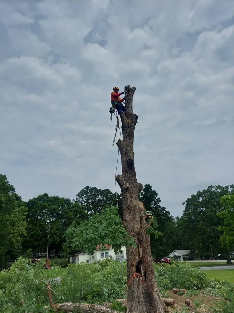Reliable residential landscaping experts serving Gaylesville, AL - Lindsey Lawn & Landscaping
