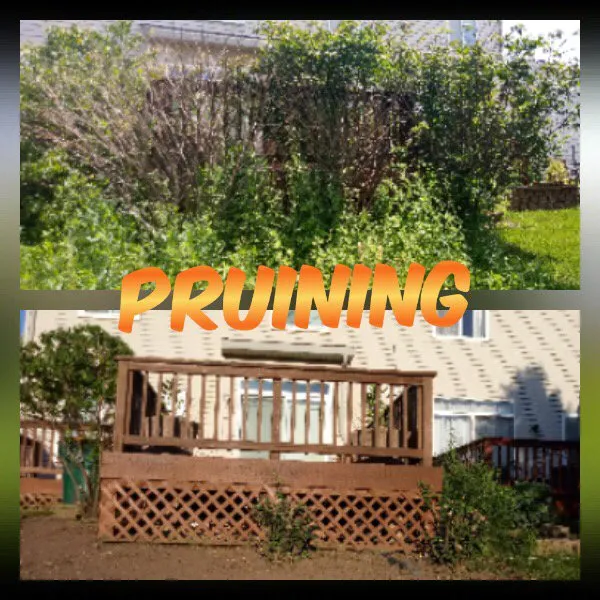 Custom garden landscaping in Plano, IL by Lindsey the Lawn Lady