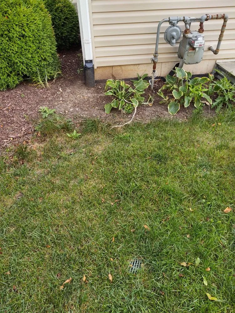 Professional outdoor landscaping experts serving Plano, IL - Lindsey the Lawn Lady