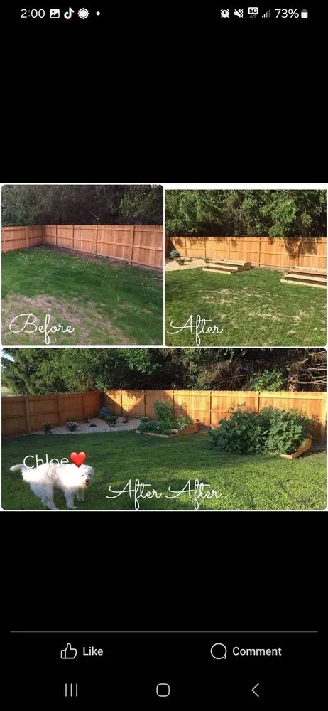 Reliable lawn mowing service in Plano, IL by Lindsey the Lawn Lady