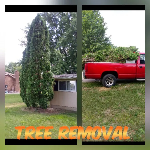 Expert landscape design in Plano, IL - Lindsey the Lawn Lady