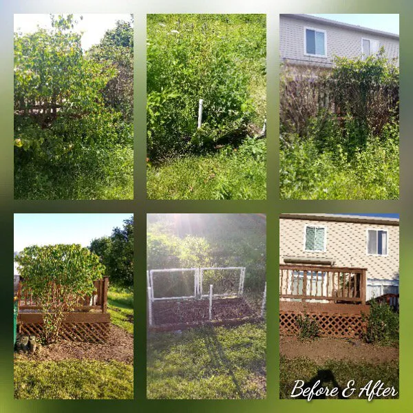 Professional landscape design for homes in Plano, IL by Lindsey the Lawn Lady