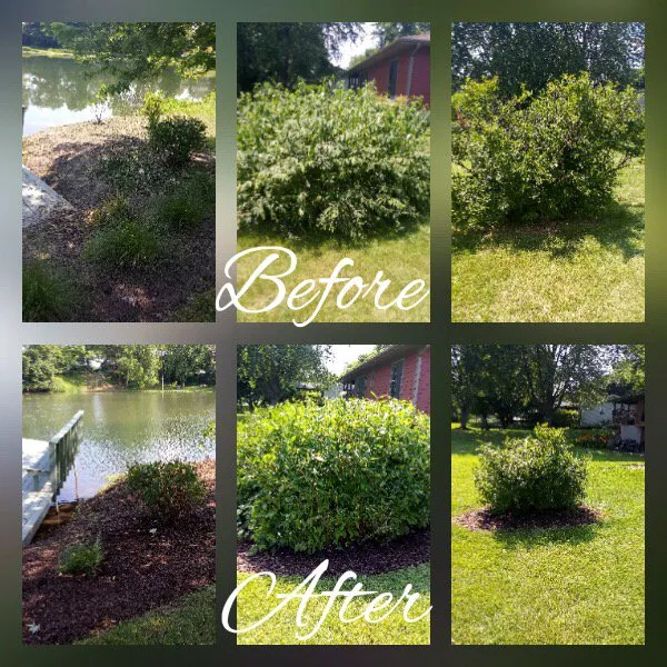 Affordable lawn mowing service for homes across Plano, IL - Lindsey the Lawn Lady