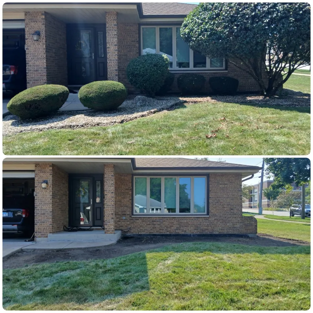 Local yard maintenance for outdoor upgrades across Plano, IL - Lindsey the Lawn Lady