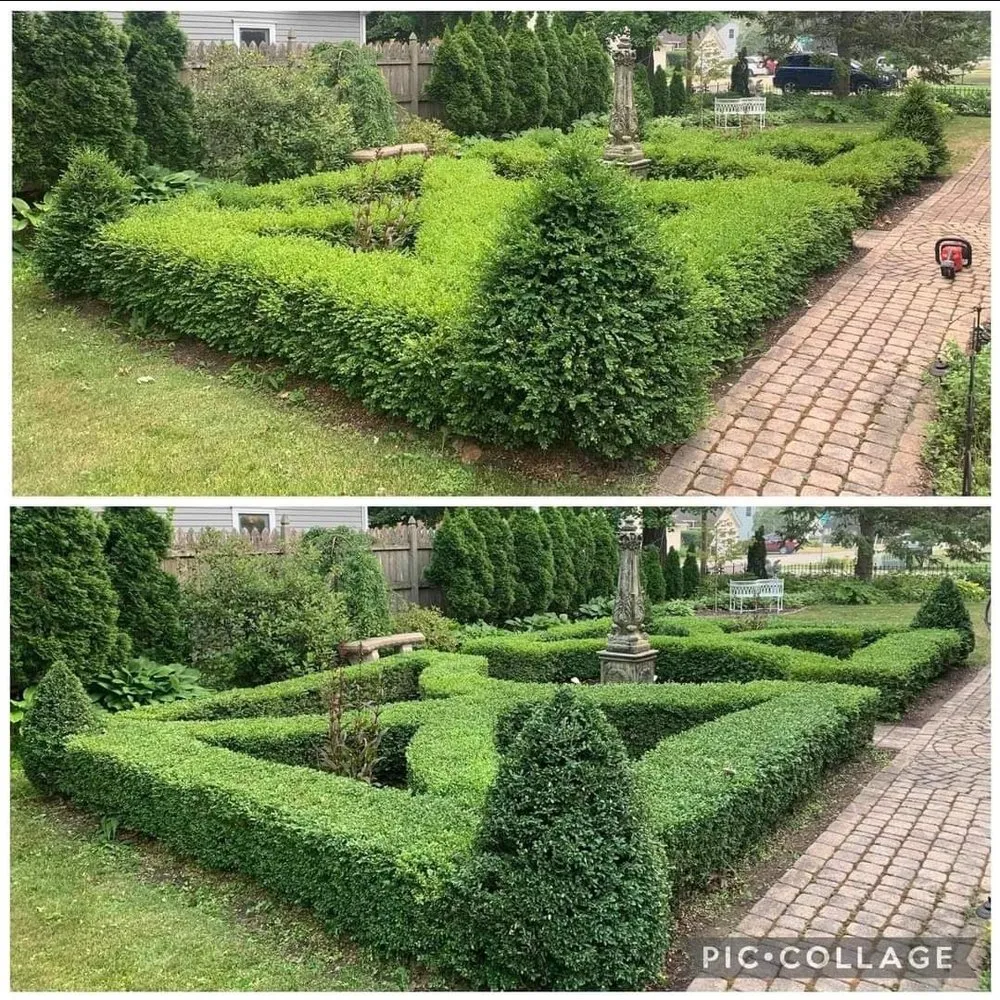 Trusted yard cleanup service in Plano, IL by Lindsey the Lawn Lady