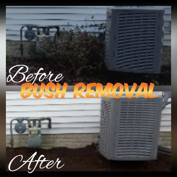 Professional yard cleanup service experts serving Plano, IL - Lindsey the Lawn Lady