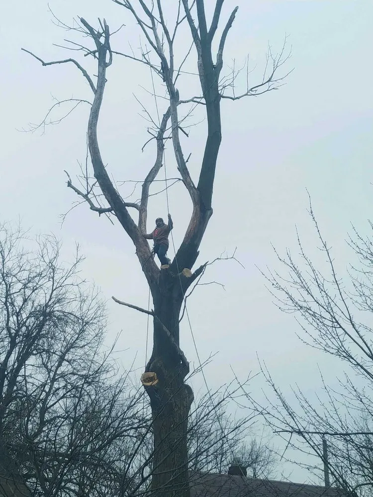 Local garden landscaping in Cleveland, OH - Lindsey's Tree And Stump Services