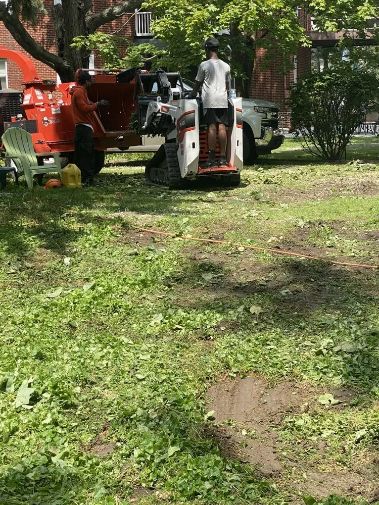 Local lawn care service near you across Cleveland, OH - Lindsey's Tree And Stump Services