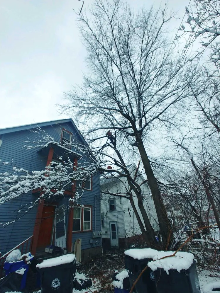 Reliable landscape design experts serving Cleveland, OH - Lindsey's Tree And Stump Services