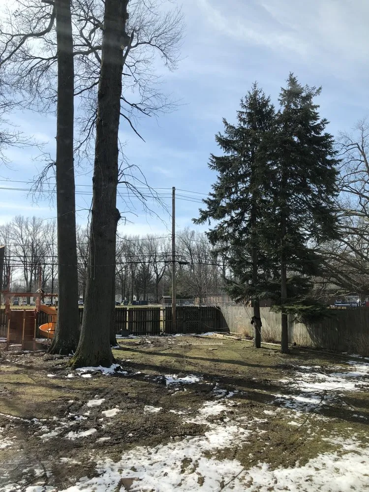 Custom residential landscaping in Cleveland, OH - Lindsey's Tree And Stump Services