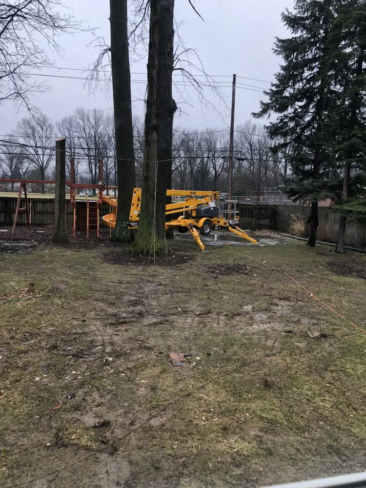 Expert lawn mowing service in Cleveland, OH - Lindsey's Tree And Stump Services