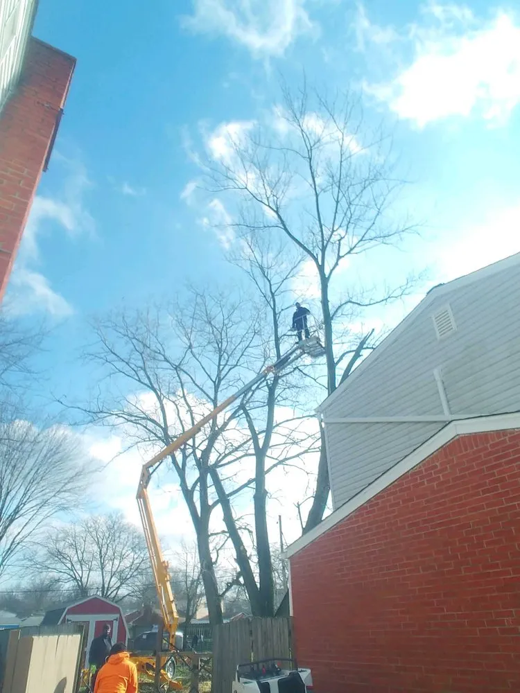 Local lawn mowing service with custom design across Cleveland, OH - Lindsey's Tree And Stump Services