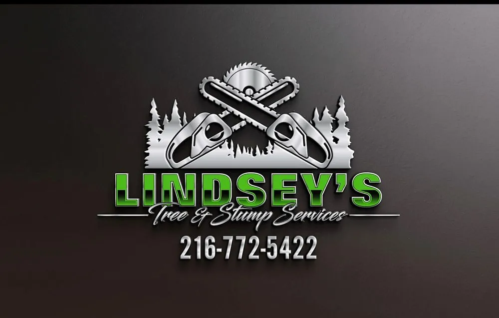 Trusted yard maintenance in Cleveland, OH - Lindsey's Tree And Stump Services