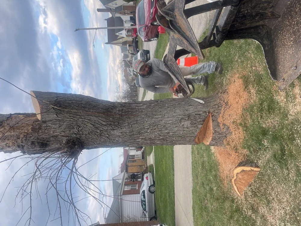 Trusted residential landscaping in Cleveland, OH by Lindsey's Tree And Stump Services