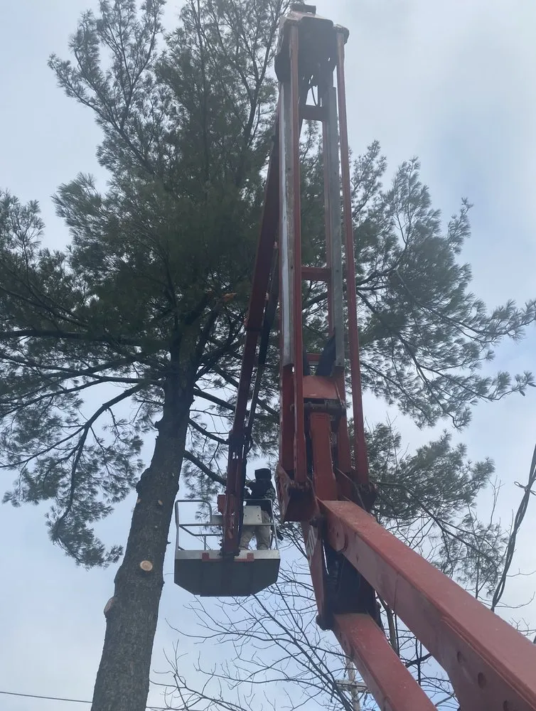 Trusted residential landscaping for residential properties across Cleveland, OH - Lindsey's Tree And Stump Services