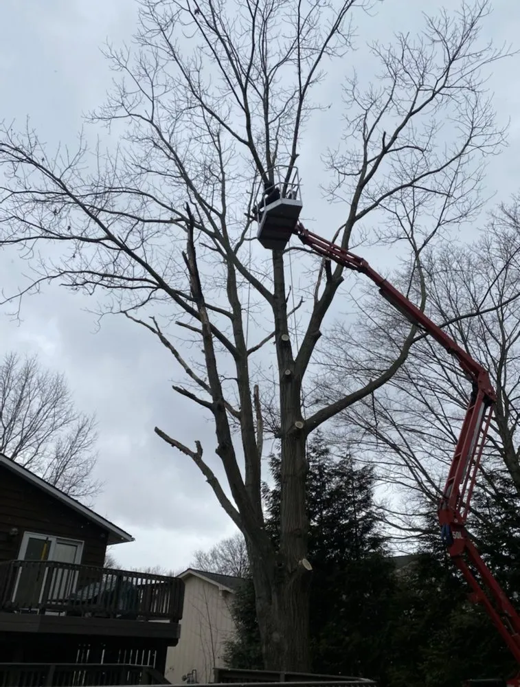 Local residential landscaping in Cleveland, OH - Lindsey's Tree And Stump Services