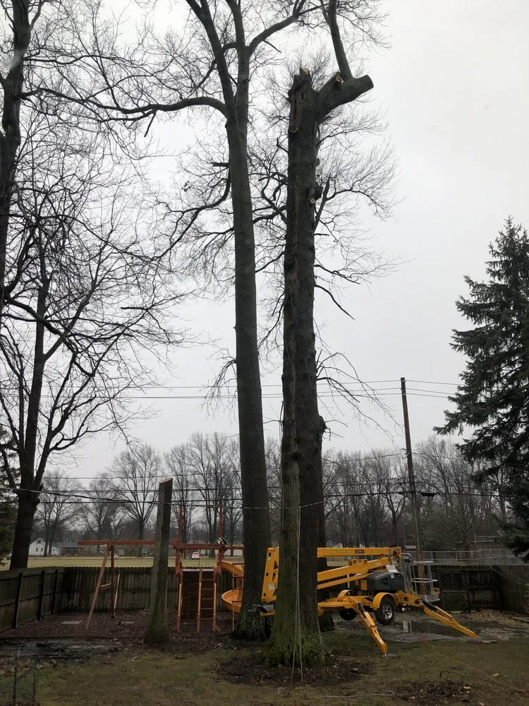 Top-rated outdoor landscaping for outdoor upgrades across Cleveland, OH - Lindsey's Tree And Stump Services