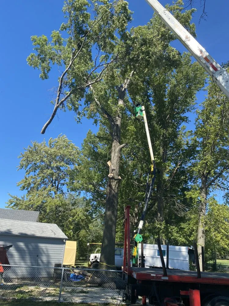 Custom lawn mowing service for residential properties in Cleveland, OH by Lindsey's Tree And Stump Services