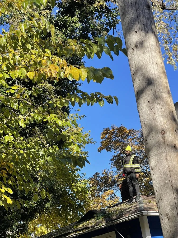 Top-rated residential landscaping for outdoor upgrades across Cleveland, OH - Lindsey's Tree And Stump Services