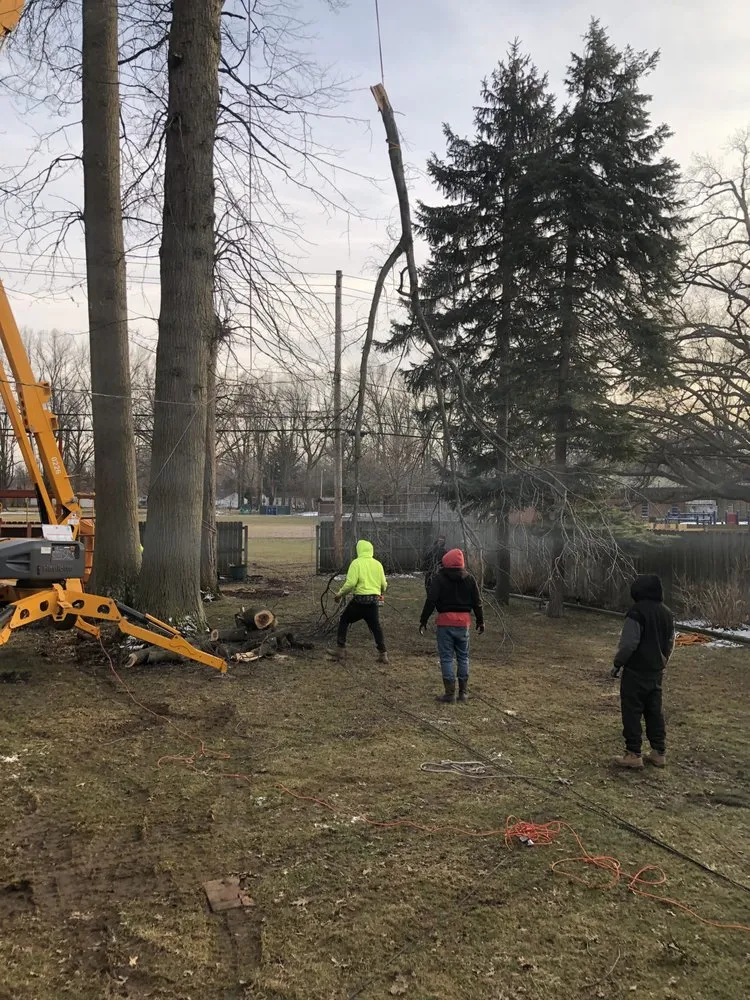 Trusted landscaping services in Cleveland, OH by Lindsey's Tree And Stump Services