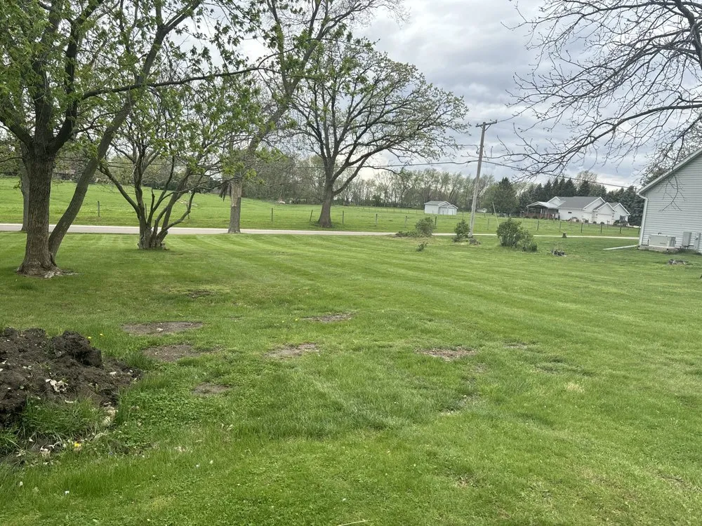 Local yard cleanup service in Dixon, IL - Lindstroms Lawncare