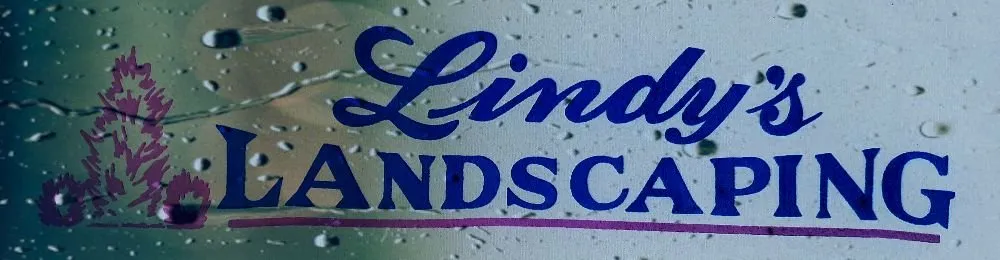 Reliable outdoor landscaping with custom design in Tabernacle, NJ by Lindys Landscaping