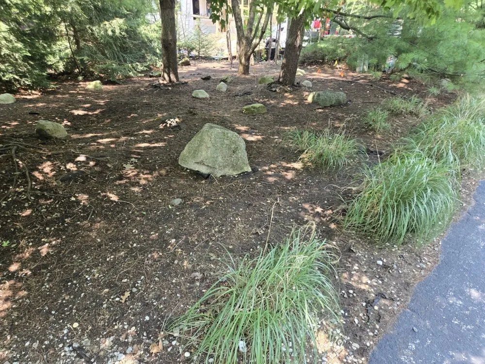 Expert yard cleanup service in Edwardsburg, MI - Line King Striping