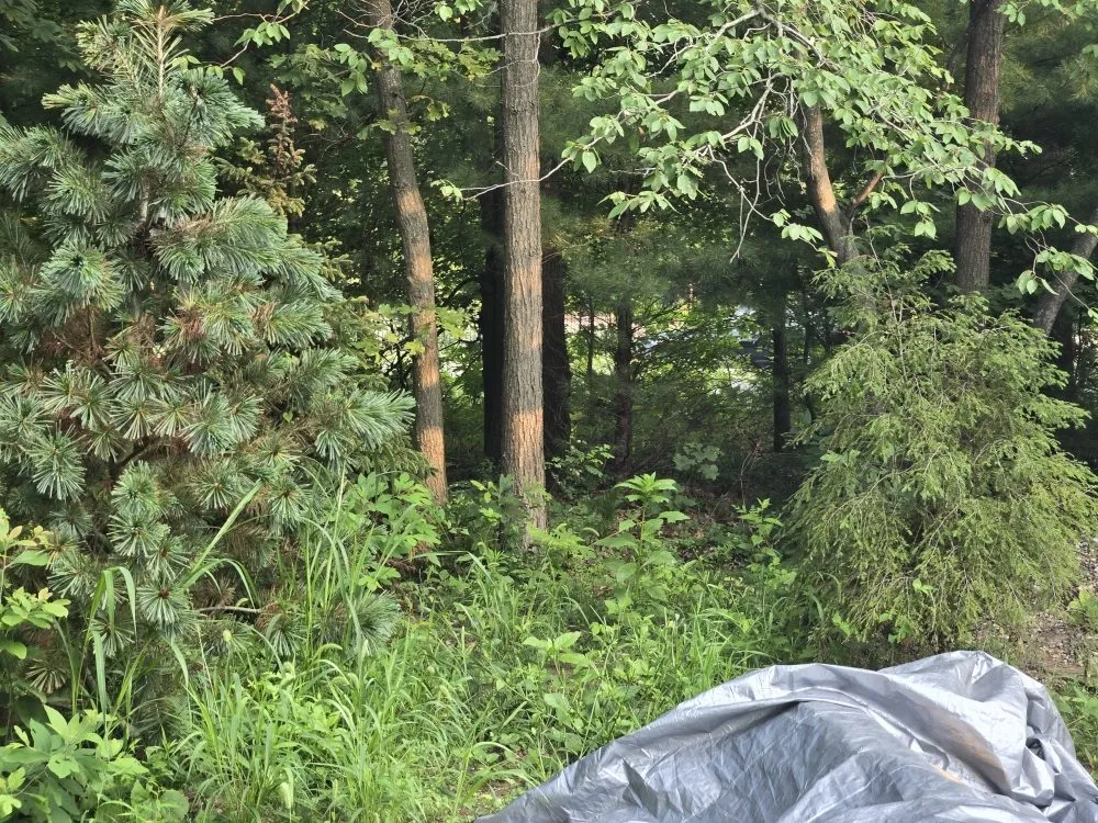 Trusted lawn care service in Edwardsburg, MI - Line King Striping