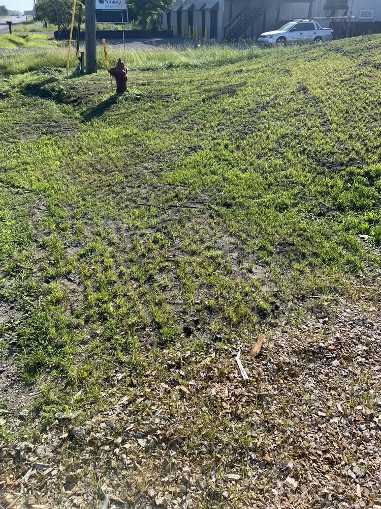 Custom lawn mowing service experts serving Edwardsburg, MI - Line King Striping