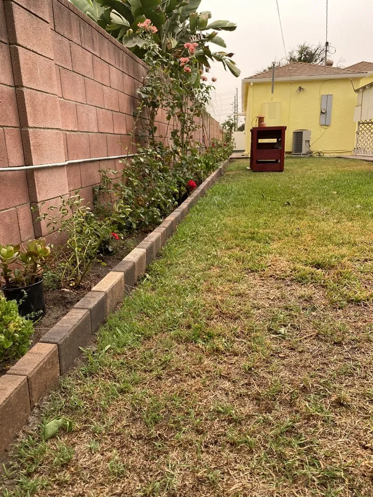 Custom lawn care service with custom design in Van Nuys, CA by Line of Art Construction