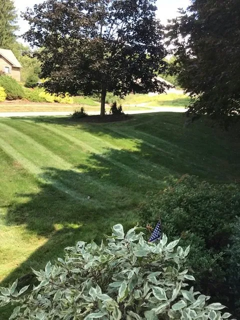 Custom landscape installation experts serving Massillon, OH - Line Up Lawn Care