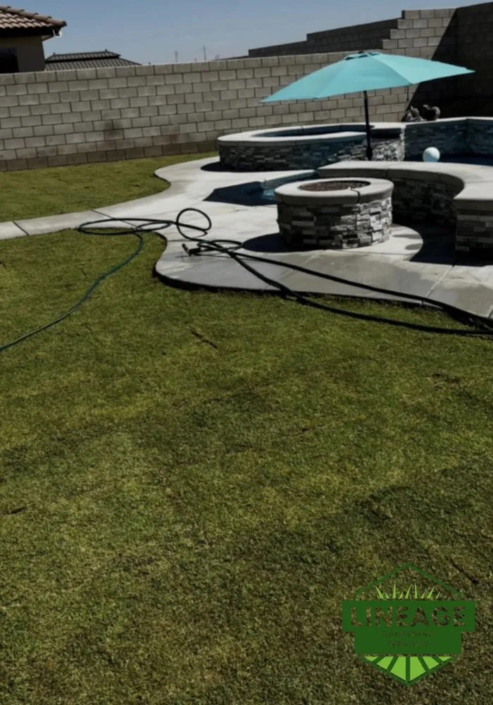 Top-rated landscape design in Bakersfield, CA by Lineage Gardening Services