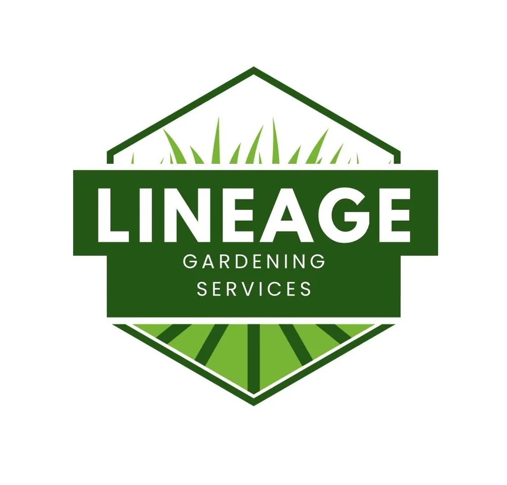 Trusted outdoor landscaping experts serving Bakersfield, CA - Lineage Gardening Services